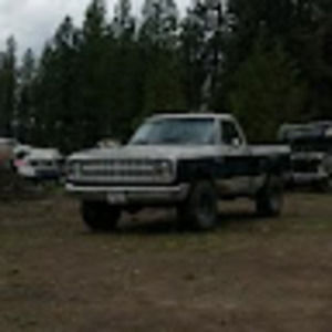 Meet your Posher, Joey